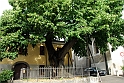 Aosta - Collegiata di Sant'Orso_26